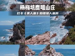-杨梅坑