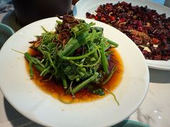 -雀蓝川菜(滨湖万象汇店)