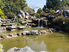 -东莞植物园