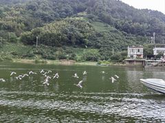 -新安江山水画廊风景区