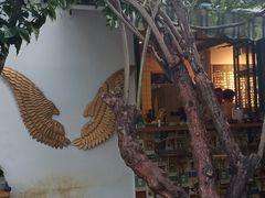 -喵屿·大理花园猫咖