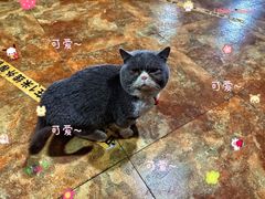 -柳沟豆腐宴69号福豆堂