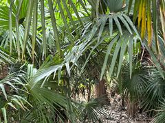 -春兰国宾馆(凤城河风景区老街店)