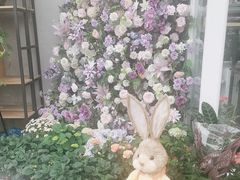 -FEI FEI FLOWER鲜花店·气球派对·宝宝宴布置(虹口德必运动Loft店)