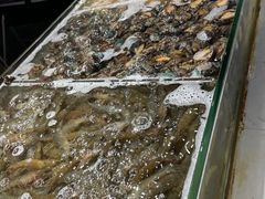 -诱货海鲜自助火锅(爱琴海购物公园东百店)