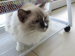 -美迦爱-牙专科·兔科·骨科诊疗中心(北苑店)