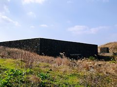-涉地可支
