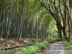 -同里国家湿地公园