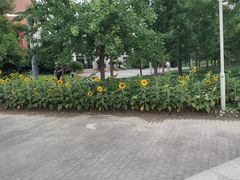 -中国计量大学(西校区)