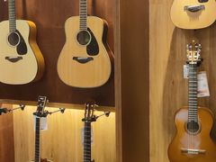 -知音艺术教育培训·钢琴培训·音乐培训(河西金鹰世界校区)