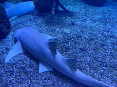 -多彩贵州城极地海洋世界