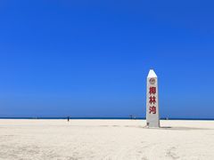 -东郊椰林