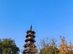 -龙华素斋(龙华路店)