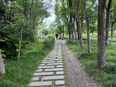 -昆山城市生态森林公园