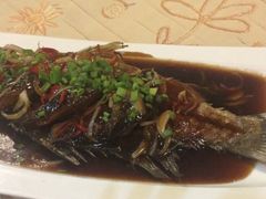 娘惹蒸鱼-灯笼馆海鲜餐厅