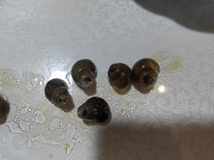 -呼吸森林·生态农庄农家乐私房菜