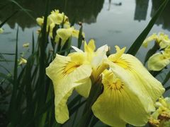 -白塘生态植物园