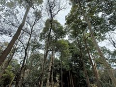 -成都杜甫草堂博物馆