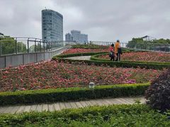 -北外滩滨江绿地