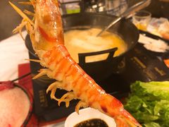 -鲜入围煮花胶鸡海鲜火锅