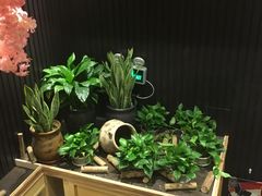 -富山日式料理(宽厚里店)