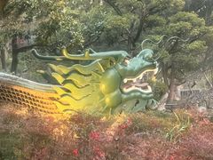 -申粤轩酒楼·三十年粤菜经典(丁香花园店)