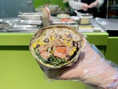 -油梨树AVOCADO TREE(顺义新国展店)