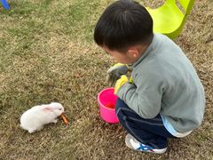 -季高兔窝窝亲子园(上海薰衣草公园店)