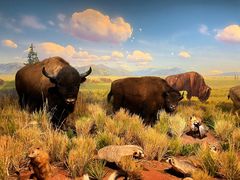 -陕西自然博物馆