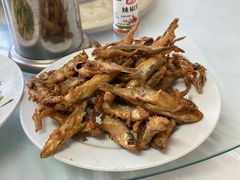 -中原农家乐(中原饭店)