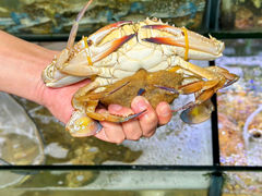 -海之鲜大排档(东山海鲜金銮湾店)