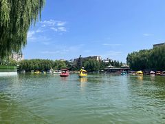 -团结湖公园