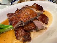 烧鸭-香港新曜记茶餐厅(星耀城店)