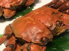 茅台百草醉蟹-海味观(老西门店)