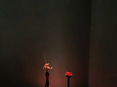 -觀芷隐轩