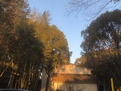 -得丘礼享谷·玉兰苑