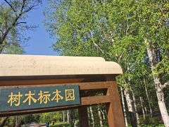 -黑龙江省森林植物园