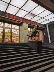 -中国黄金(北京旗舰店)