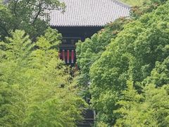 -大唐贡茶院