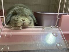 -美联众合动物医院·24h转诊中心