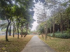-深圳湾公园(南山区)