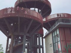 -芒洲湿地公园