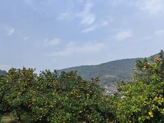 -南北湖风景区