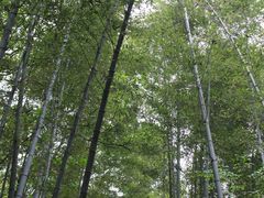 -南山风景名胜区