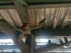 -泉州海丝野生动物世界