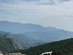 -灵山