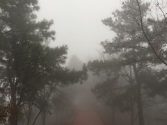 -敬亭山风景名胜区