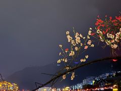 -茅台国际大酒店