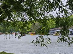 -上海共青森林公园