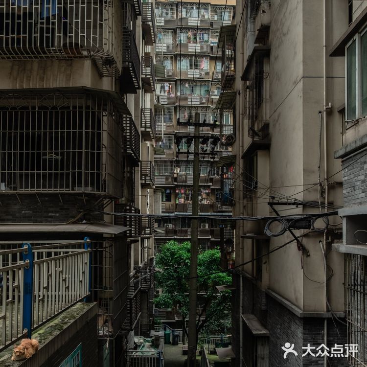 重庆李子坝附近藏着一条小众观景步道：新都巷步道